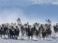 新疆乌鲁木齐字母圈吐鲁番喀什哈密和田绳艺KBSP爱好者社群 新疆乌鲁木齐字母圈吐鲁番喀什哈密和田绳艺KBSP爱好者社群