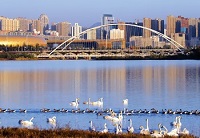 河南郑州字母圈开封洛阳濮阳焦作信阳绳艺KBSP爱好者社群 河南郑州字母圈开封洛阳濮阳焦作信阳绳艺KBSP爱好者社群